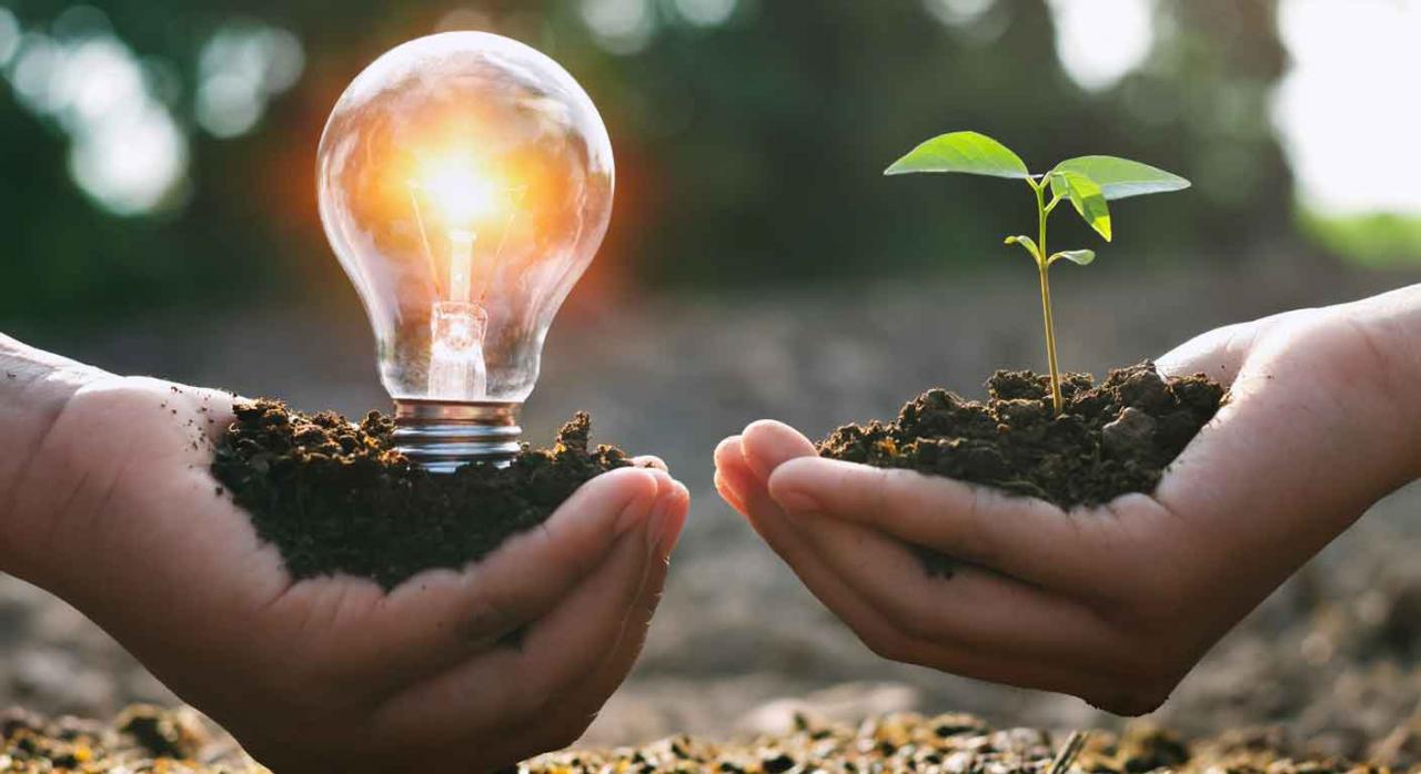 Cuentas Cuentas. Unas manos llenas de tierra en una, una bombilla encendida y en la otra una planta