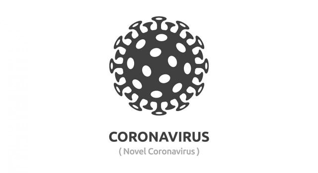 Auditoria. Imagen del Coronavirus 2019
