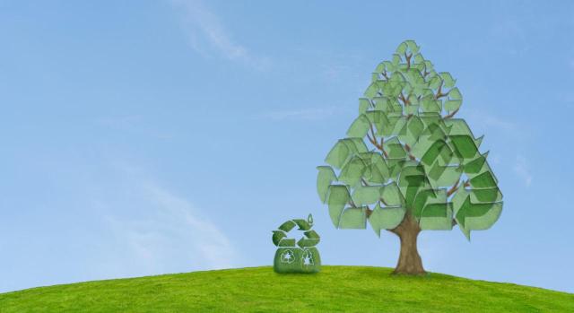 Avances recientes en la información contable y de sostenibilidad. Imagen de árbol y casa con símbolos respetuosos con el medio ambiente
