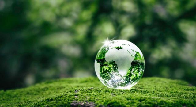 Directrices no vinculantes de verificación limitada de información de sostenibilidad y consulta pública. Imagen de Tierra cristalina sobre helechos en bosque de hierba verde con luz solar