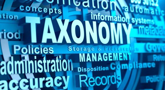 Taxonomía Contable IFRS 2024 en español. Imagen de un texto con la palabra TAXONOMY en mayúscula